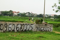 Phân khúc đất nền Hà Nội vẫn là kênh đầu tư yêu thích của nhiều người. Ảnh: Thành Nguyễn.