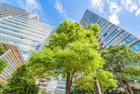 Ảnh: Shutterstock.