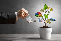 Ảnh: Shutterstock.