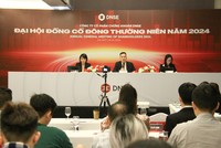 DNSE: Kế hoạch lợi nhuận năm 2024 tăng gấp 2 lần năm 2023