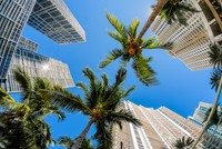 Ảnh: Shutterstock.