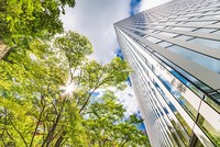 Ảnh: Shutterstock.