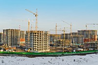 Ảnh: Shutterstock.