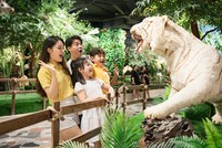 Chơi Tết với “Thiên mã khai Xuân”