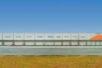 Ảnh: Thành Nguyễn.