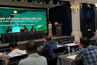 Năm 2026, Tập đoàn Đầu tư Thăng Long (TIG) đặt mục tiêu lợi nhuận tăng trưởng hơn 140%