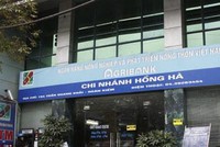 Cựu giám đốc chi nhánh của Agribank phát hành bảo lãnh cho hợp đồng khống?