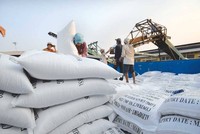 Đối với hoạt động mua lúa gạo tạm trữ, Vinafood2 cũng có sai phạm chưa mua trực tiếp của người nông dân, không tổ chức liên kết được thành hệ thống trong mua bán đảm bảo người nông dân có lãi tối thiểu 30% (ảnh minh họa)