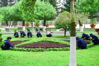 Sonaenco (SZE): Lợi nhuận năm 2017 sụt giảm mạnh