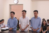 Cán bộ hải quan trộm ngà voi bị tuyên phạt 16 năm tù giam