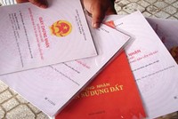 Bắc Giang: 9x làm giả sổ đỏ để gán nợ lĩnh án 11 tháng tù treo