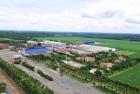 SBT tăng cường hỗ trợ người dân trồng mía, tiếp tục duy trì vị thế trong rổ VN30 