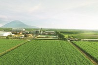 SBT sẽ bứt phá ra sao trong nửa cuối niên độ 2018 - 2019?