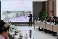 Giá đường sẽ gia tăng trong niên vụ 2019-2020 do thâm hụt sau thặng dư