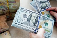 Ngân hàng Nhà nước điều hành linh hoạt tỷ giá, trong điều kiện cần thiết sẽ can thiệp từ quỹ dự trữ quốc gia