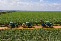 Ứng dụng cơ giới hóa trong canh tác mía tại TTC Biên Hòa