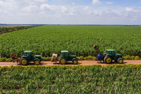 TTC Sugar (SBT) huy động 700 tỷ đồng thông qua phát hành trái phiếu ra công chúng 