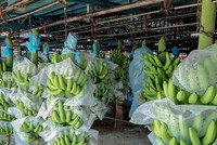 Dự án áp dụng nhiều kĩ thuật tiên tiến và giải pháp bền vững, thân thiện với môi trường