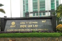 Điện Gia Lai (GEG) muốn phát hành hơn 30,3 triệu cổ phiếu để lấy tiền góp vốn vào dự án điện gió tại Tiền Giang