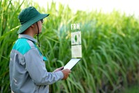 TTC AgriS (SBT) chốt quyền chia cổ tức bằng cổ phiếu, tỷ lệ 10%