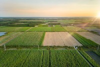 TTC AgriS tiên phong chuyển đổi mô hình kinh doanh, trở thành doanh nghiệp nông nghiệp công nghệ cao, tham gia sâu rộng vào chuỗi giá trị nông nghiệp toàn cầu