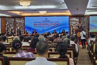 ĐHCĐ Saigonbank (SGB): Mục tiêu lợi nhuận tăng 11%, quý đầu năm giảm 35%