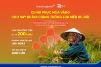 KienlongBank triển khai nguồn vốn vay nhiều ưu đãi cho bà con trồng lúa
