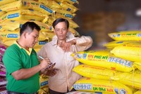 Nhà máy Đạm Phú Mỹ “về đích” trước 2 tháng