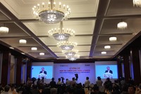 Thaco bỏ ra 7.800 tỷ đồng đầu vào Hoàng Anh Gia Lai và dự kiến đầu tư tiếp 12.000 tỷ đồng cho HNG