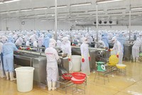 Minh Phú (MPC) sẽ niêm yết trên HOSE vào năm 2019