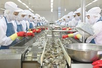 Tập đoàn Mitsui sẽ mua 35,1% vốn cổ phần Minh Phú giá 50.630 đồng/cổ phần