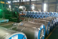 Đại Thiên Lộc (DTL) chuẩn bị đầu tư dây chuyền mạ thiếc, chia 30% cổ tức bằng cổ phiếu