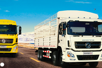 HHS gửi 1.900 tỷ đồng trong ngân hàng, mỗi cổ phiếu sở hữu 7.800 đồng/tiền mặt