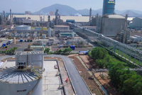 Phân bón và Hóa chất Dầu khí (DPM) đặt kế hoạch lãi trước thuế 513 tỷ đồng, cổ tức dự kiến 10%