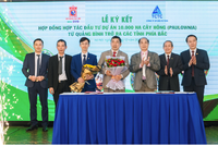 Sơn Đại Việt (DVG) hợp tác đầu tư 10.000 ha cây Hông với TCTC