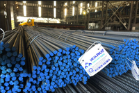 Hòa Phát lần đầu cán mốc lợi nhuận ròng 34.520 tỷ đồng trong năm 2021