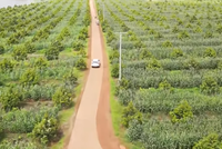 Hoàng Anh Gia Lai (HAG) trình cổ đông phương án phát hành cổ phiếu hoán đổi nợ thay thế phương án cũ