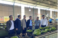 Hoàng Anh Gia Lai (HAG) điều chỉnh phương án phát hành riêng lẻ, Chứng khoán LPBank khẩn trương huy động vốn để tham gia