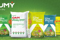 Ra mắt tên và bộ nhận diện thương hiệu mới PHUMY: Bước chuyển mình mạnh mẽ của PVFCCo (DPM)