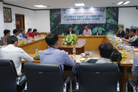 Hoàng Anh Gia Lai (HAG) và WASI hợp tác cung ứng 30 triệu cây giống cà phê chất lượng cao