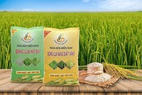 Phân bón Miền Nam (SFG) dự kiến chia cổ tức tiền mặt 5%