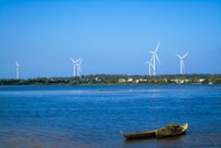 Halcom Việt Nam (HID) giải trình lý do cổ phiếu bị đưa vào diện cảnh báo