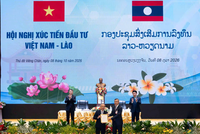 HAGL (HAG) nhận giấy phép đầu tư ra nước ngoài trồng và chế biến cà phê tại Lào