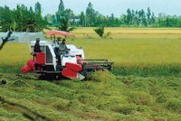 Một nền nông nghiệp phát triển sẽ kéo theo nhiều ngành công nghiệp phát triển