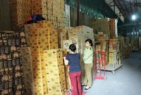 Lực lượng chức năng đang kiểm tra hàng tại kho hàng hóa tại Nhà máy Xe lửa Gia Lâm