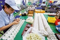 FDI của Nga vào Việt Nam có gì?