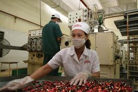 Công ty cổ phần Tràng An là một trong 4 công ty con của Công ty TNHH một thành viên Đầu tư Việt Hà. Ảnh: Đức Thanh