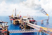 Nhóm cổ phiếu dầu khí đã có sự phục hồi ấn tượng trong tháng qua