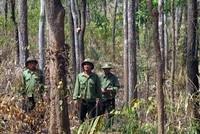 Ảnh minh hoạ. Nguồn: Internet