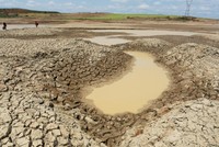 Hồ Ea H'Rar 1 (xã Ea Tul, huyện Cư M'Gar, Đắk Lắk) cạn trơ đáy. Ảnh Tuổi trẻ